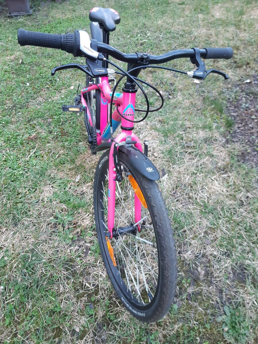 Author ULTIMA 24 - 2