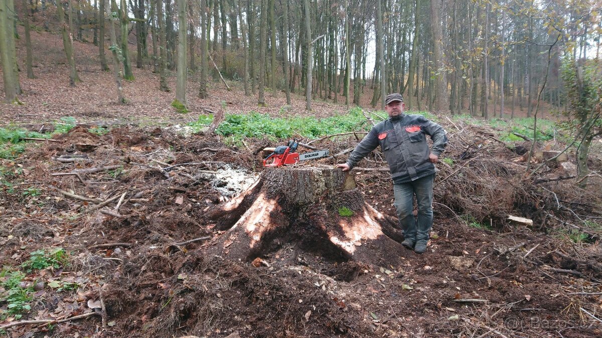 FRÉZOVÁNÍ - ODSTRAŇOVÁNÍ PAŘEZŮ - 2