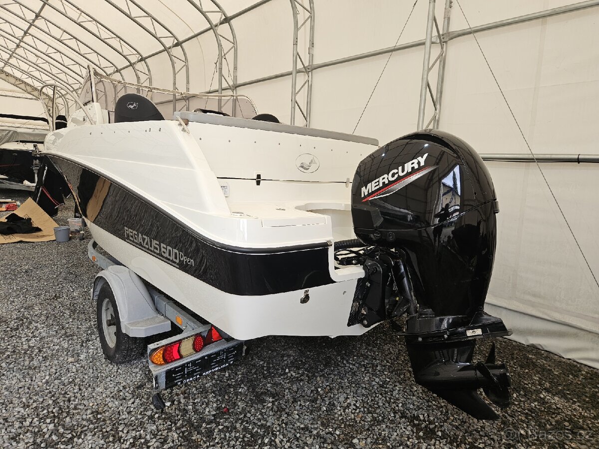 Motorový člun Pegazus 600 open - 2