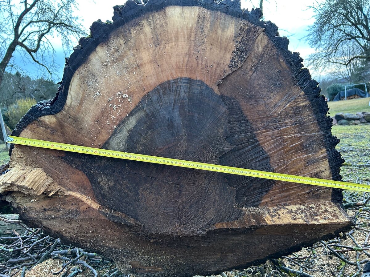 Ořechové dřevo - 2