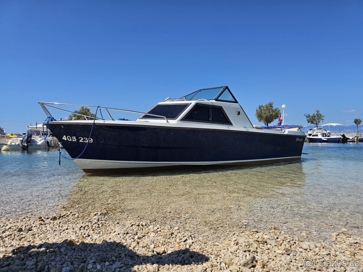 SWAYZER SAPHIR 650 CUP - 2