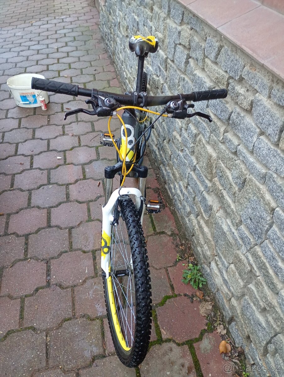 Cygnus Dirt Pro - 2