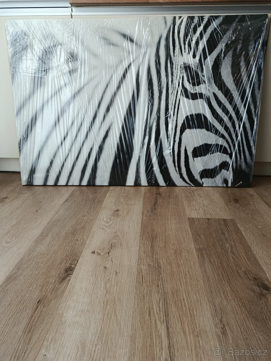 Obraz na plátně - 2