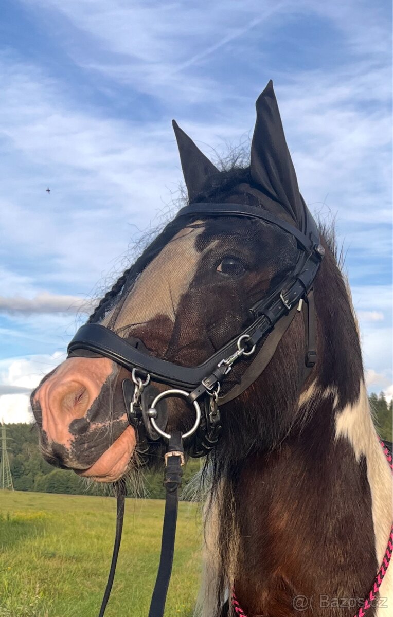 PresTeq Faysport uzdecka PONY - 2