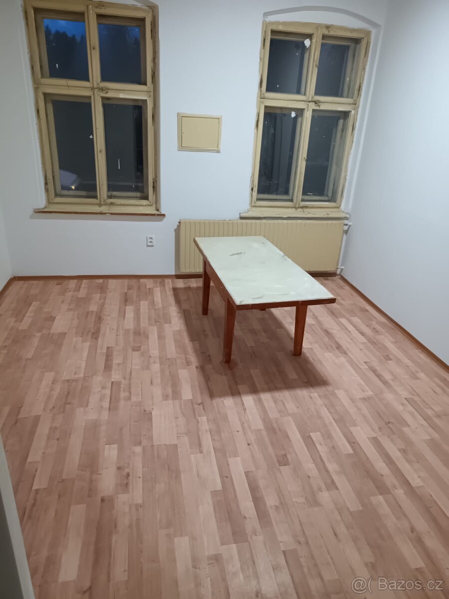 Pronajmu 2+1 na Vrchu S VLASTNÍ ZAHRADOU - 2