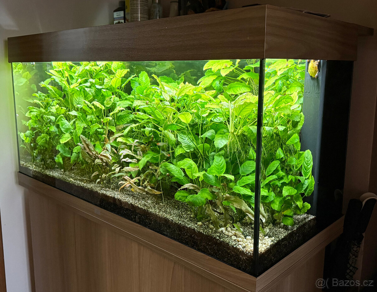 Akvárium Juwel Rio 180l, dub - 2