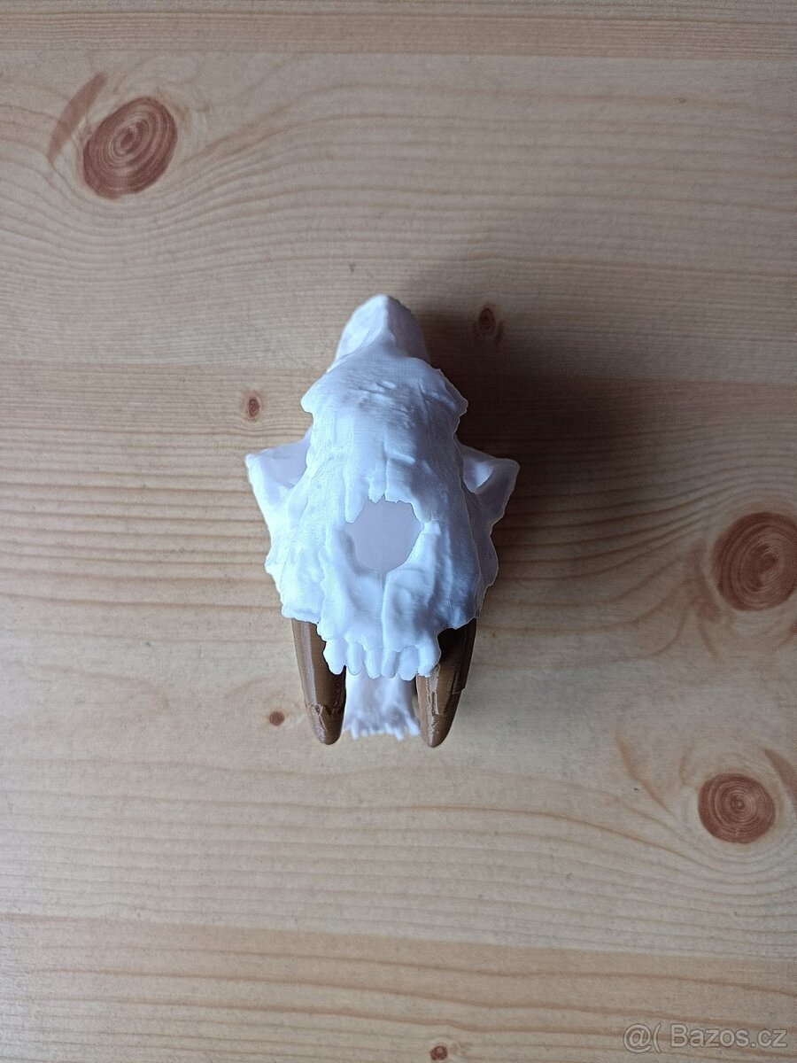 3D tisk-replika lebky šavlozubého tygra - 2