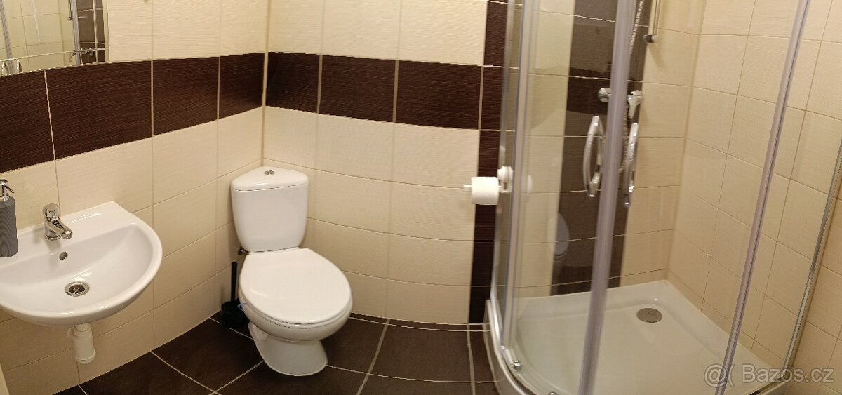 Pronájem Příbor - 2