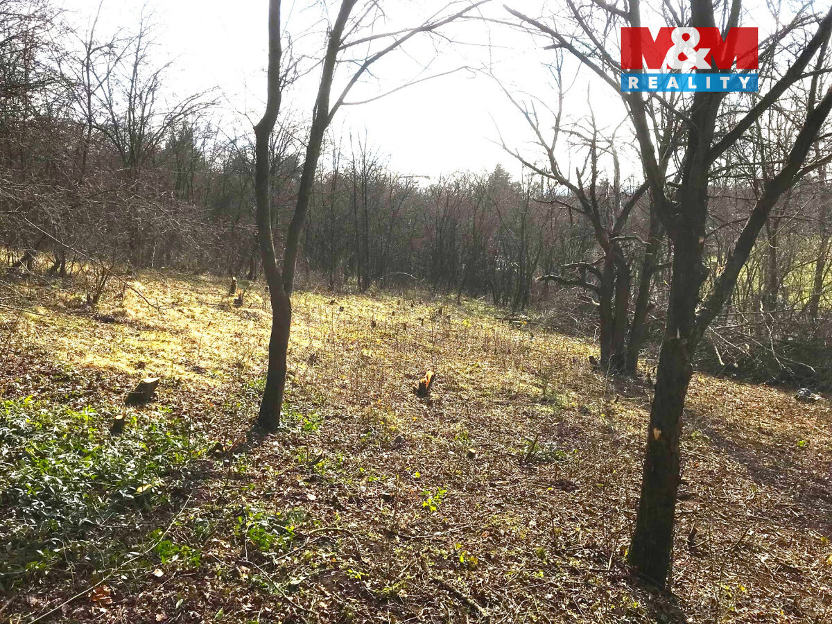 Prodej zahrady, 1582 m², Postoloprty - 2