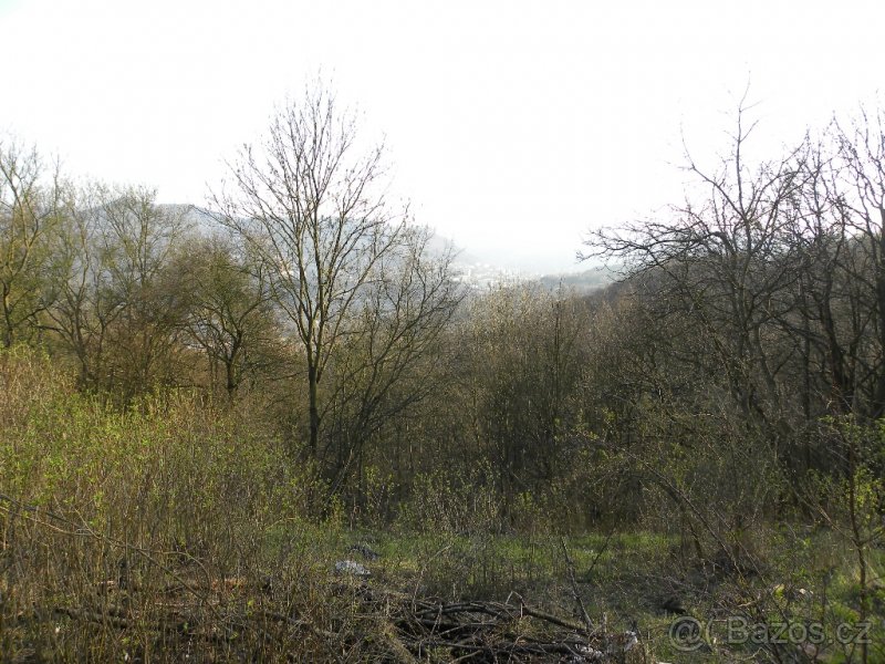 Zahrada v Doběticích - 2