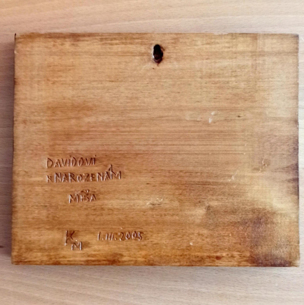 Lev Plastika Obrázek - 2