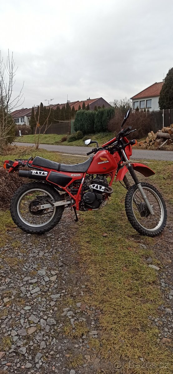 Honda xl 250