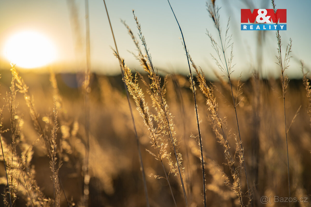 Prodej pozemku k bydlení, 758 m², Nová Ves - 2