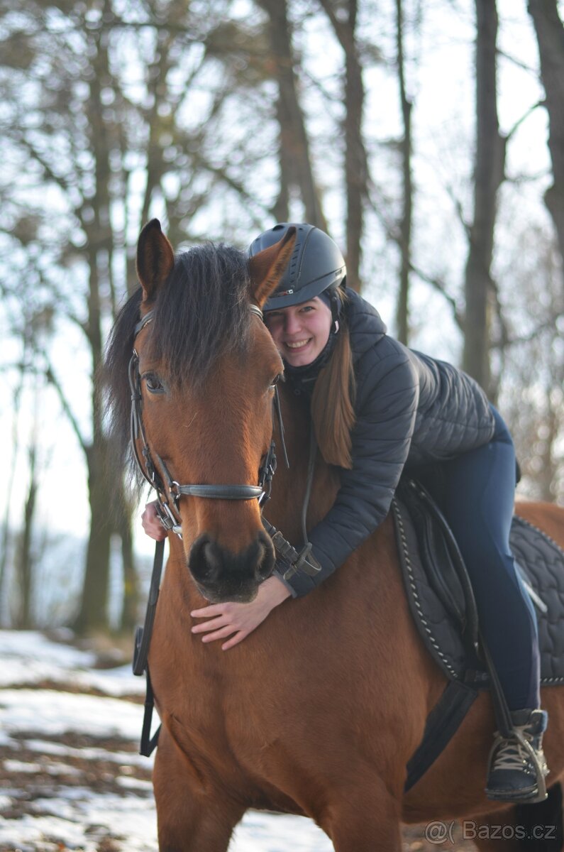 kobyla ČT/hucul - 2
