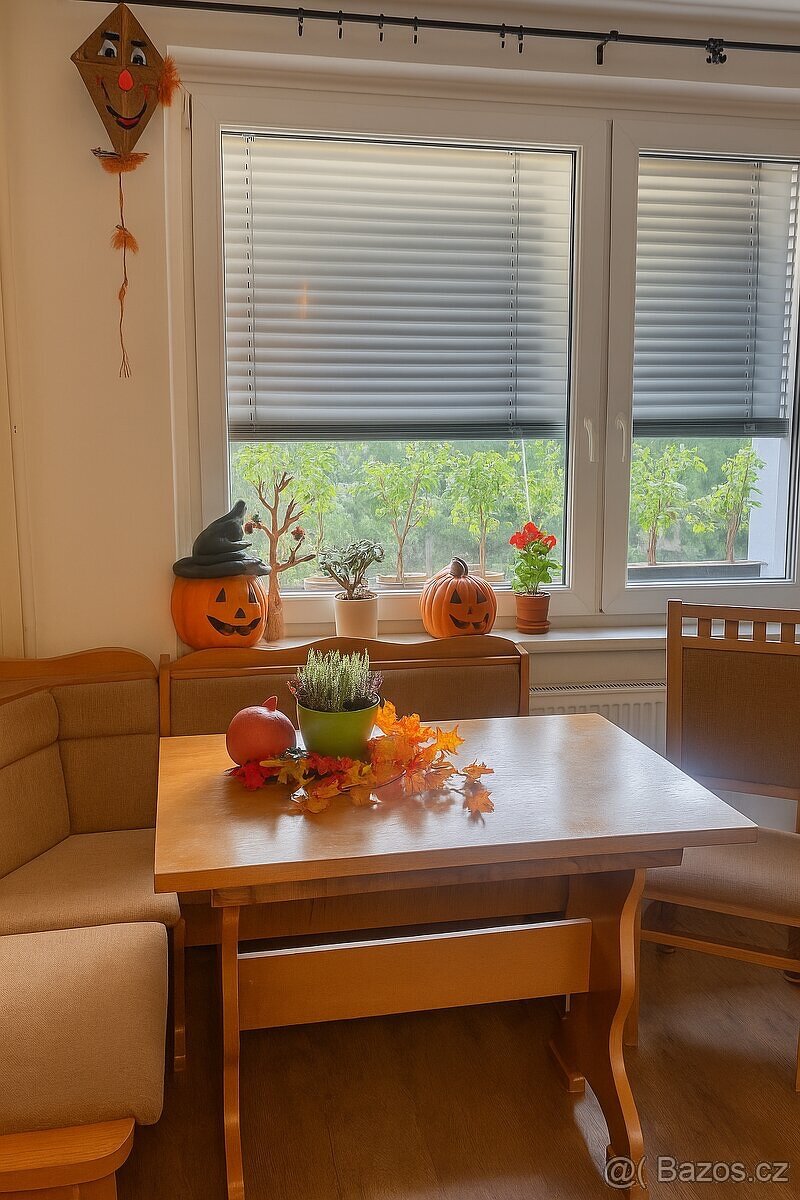 3 plus 1 Brno , krásný byt k prodeji - 2