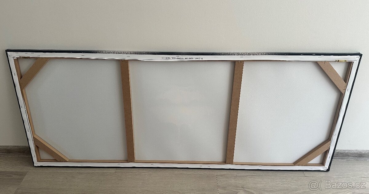 Obraz na plátně 145x58cm - 2