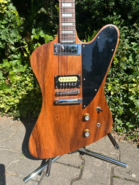 elektrická kytara Firebird - 2