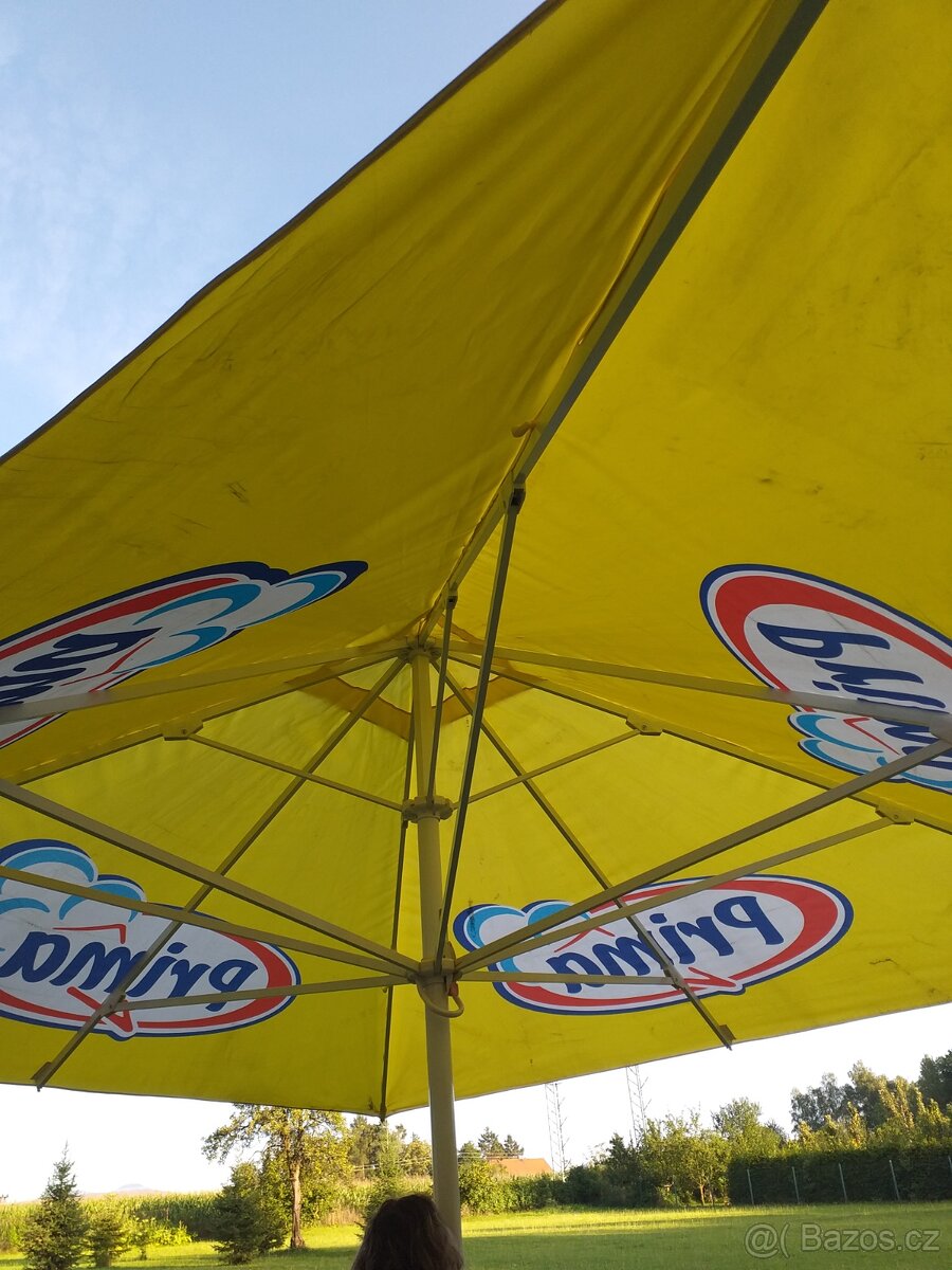 Velky zahradni slunečnik - 2