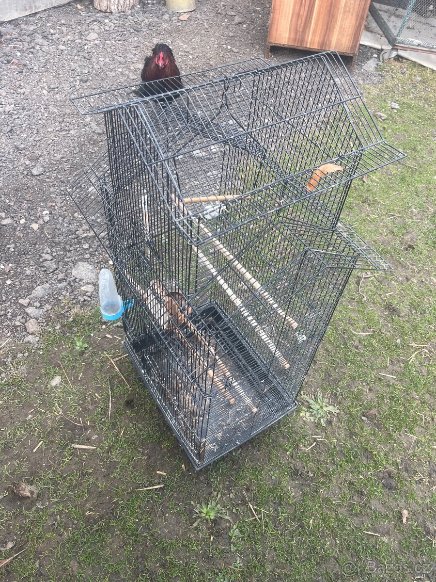 Klec pro papoušky - 2