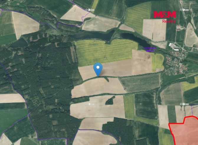 Prodej louky, 6482 m², Lochousice - 2