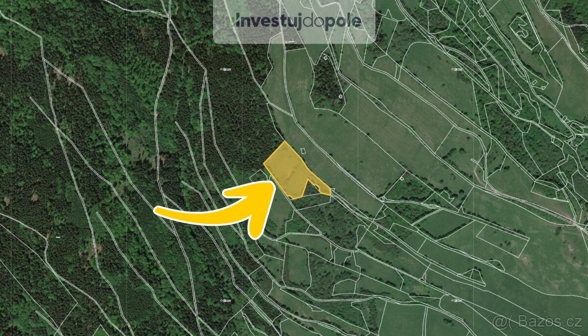 Prodej louky 19 250 m², Trutnov - Babí, ev.č. 2025-06-23-5 - 2
