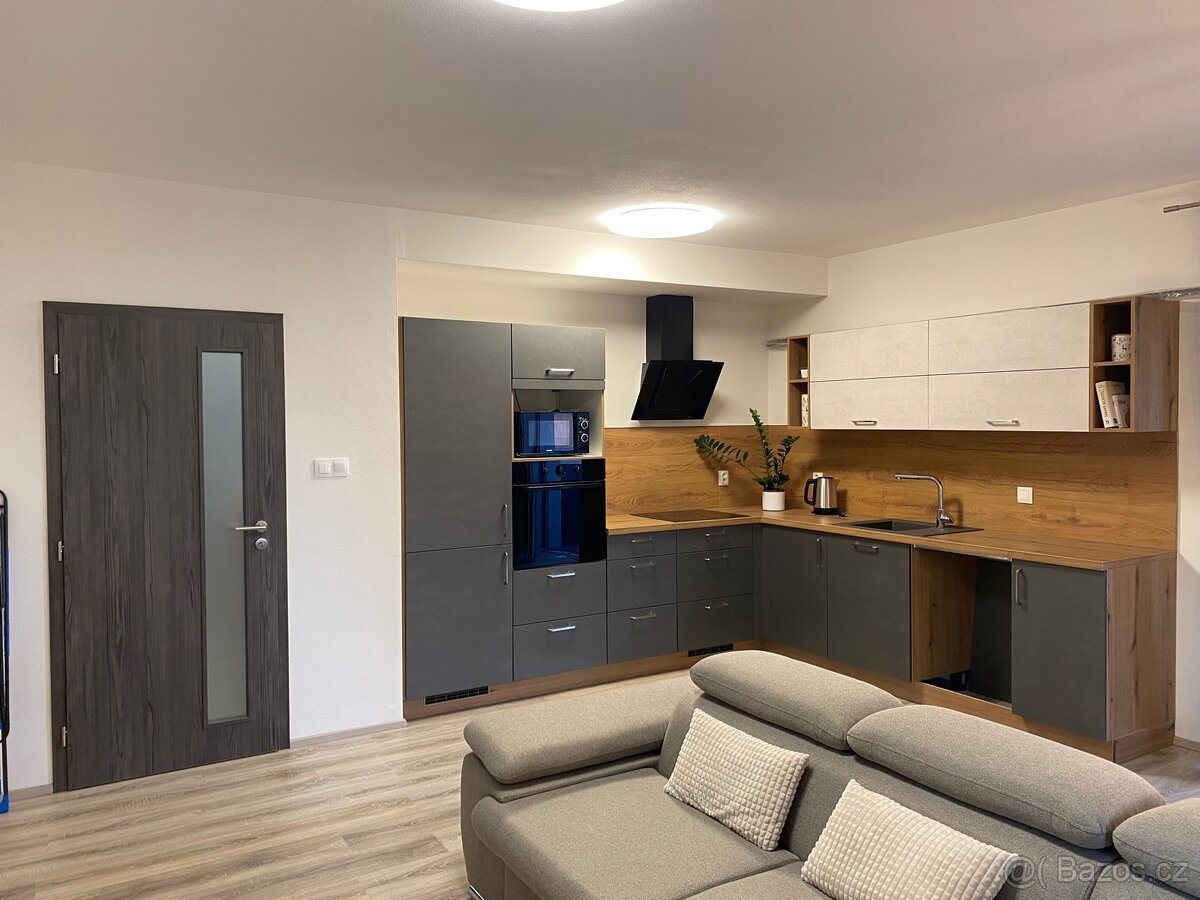 Pronájem bytu 2+kk Heřmanova Huť - 2