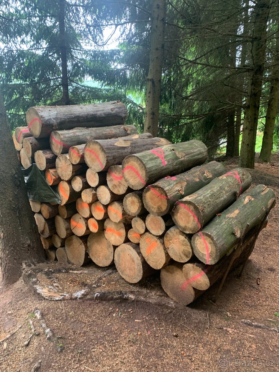 Prodám palivové dřebvo - 2