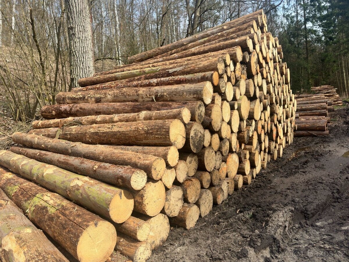 Palivové dřevo v kládách - 2