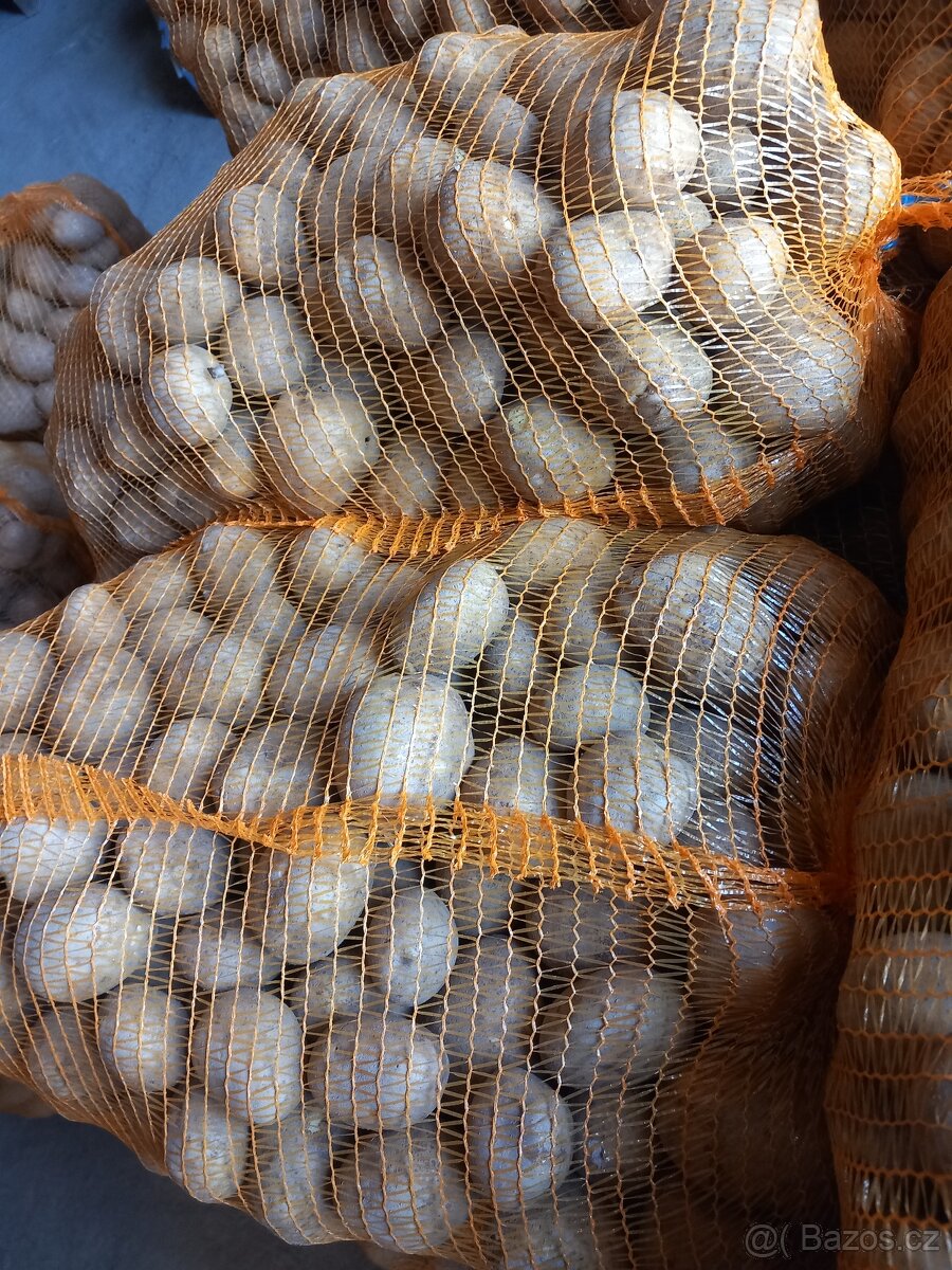 Brambory Adéla z vysočiny - 2