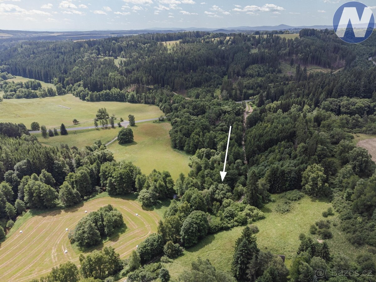 Prodej soustavy rybníků, Kříženec u Mariánských Lázní, možno - 2
