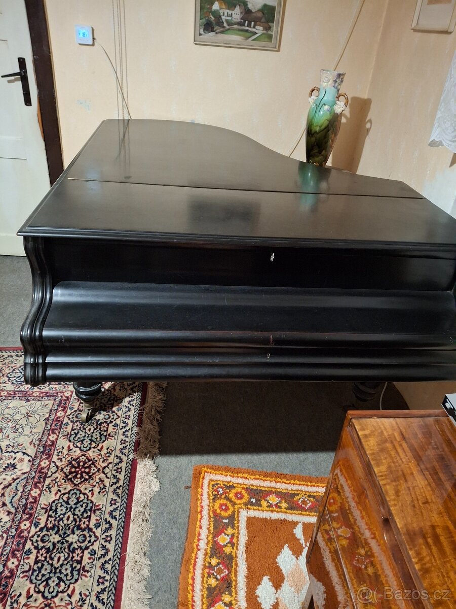 křídlo Bělohlávek - 2