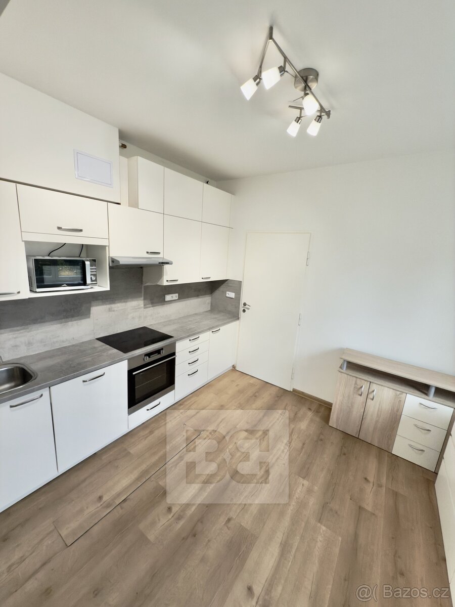 Pronájem bytu 3+1 120 m² se zahradou 300 m², Praha - Hluboče - 2