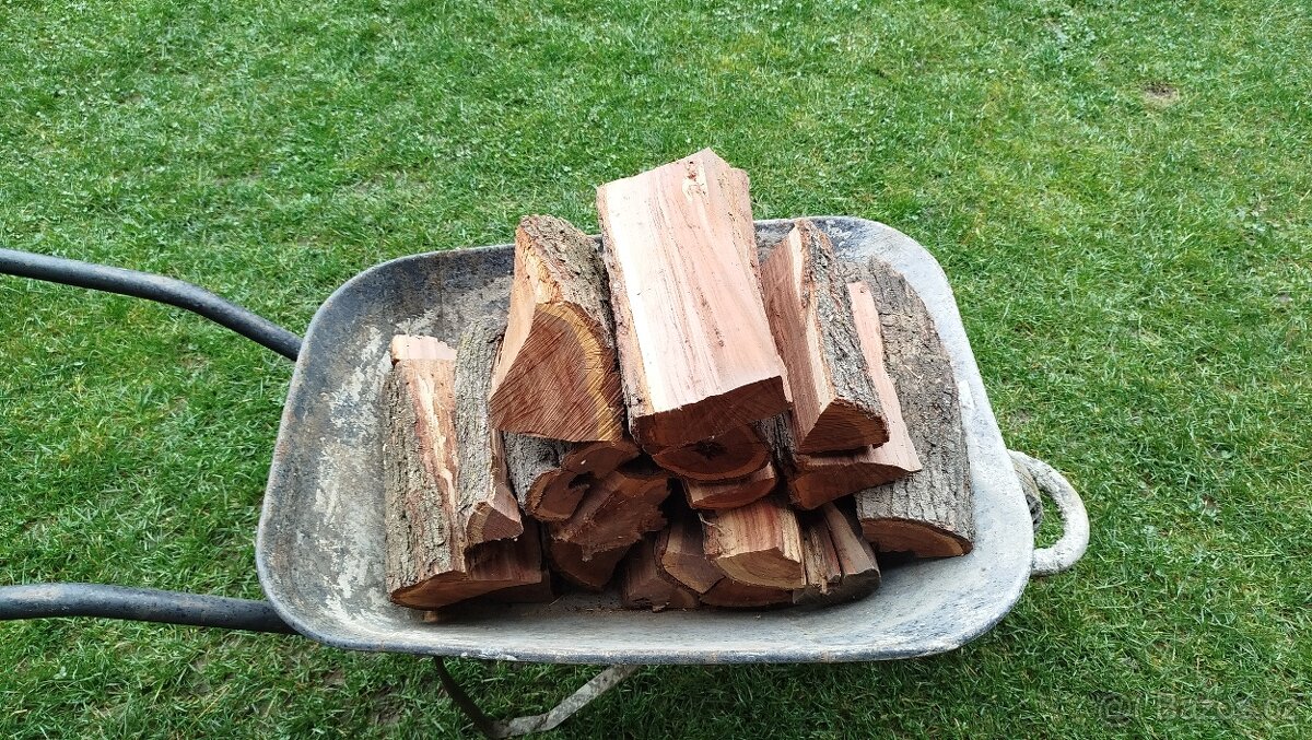 Švestkové dřevo - 2