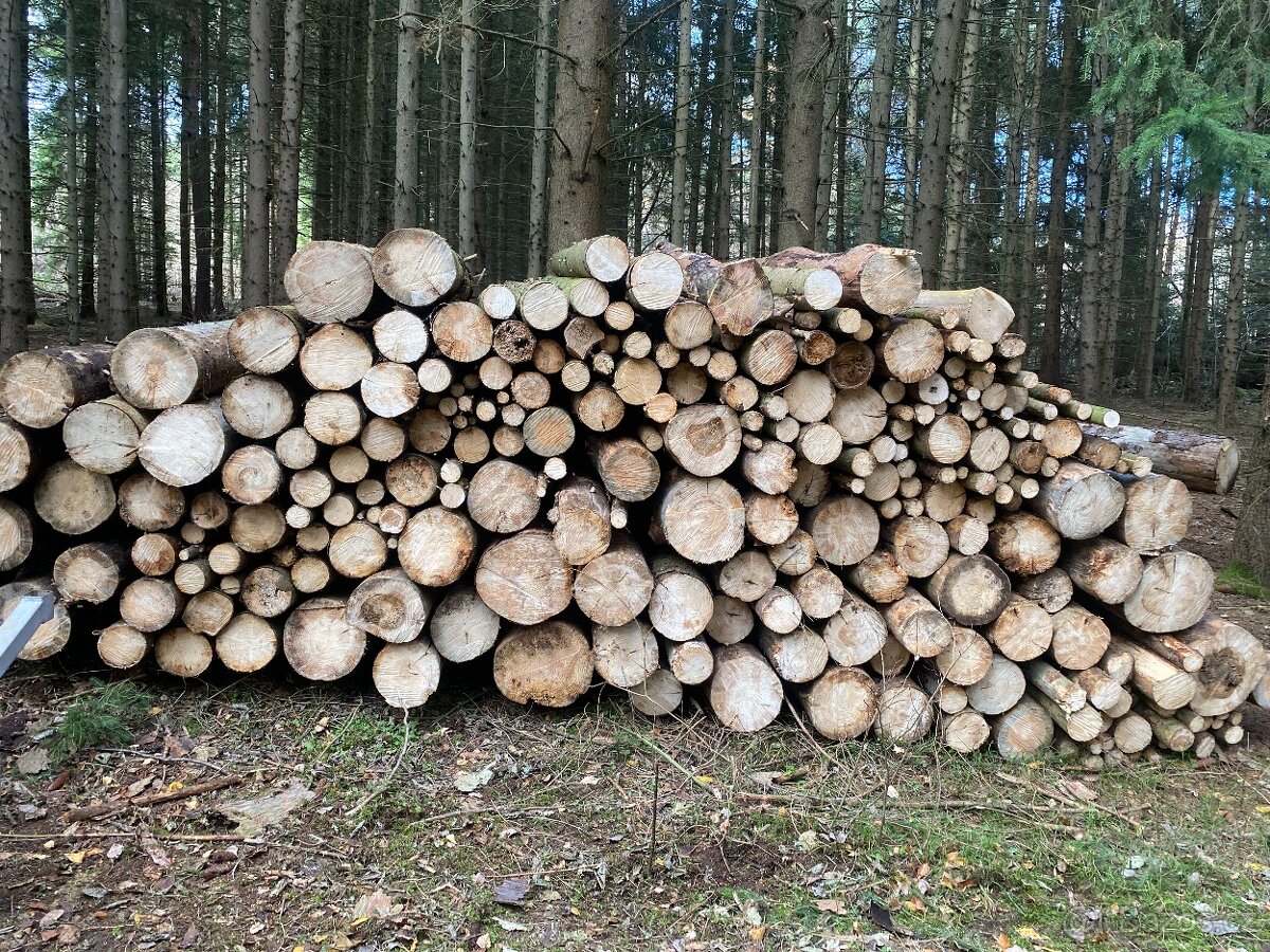 Prodej palivového dříví - 2
