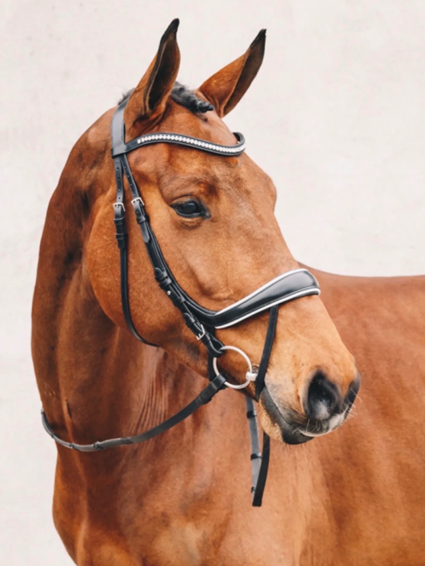 Anatomická uzdečka Schockemöhle - 2