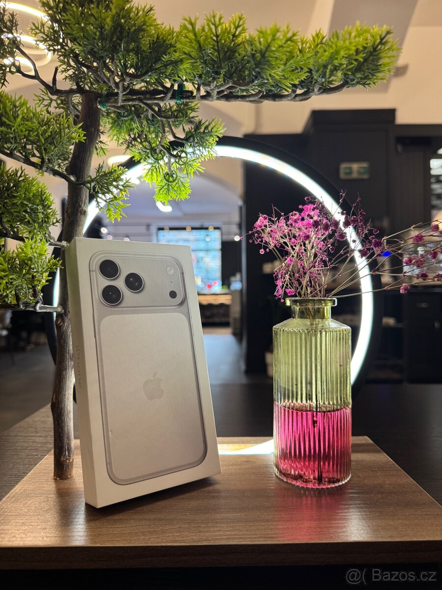 iPhone 17 Pro Max 256 (Silver) - 2