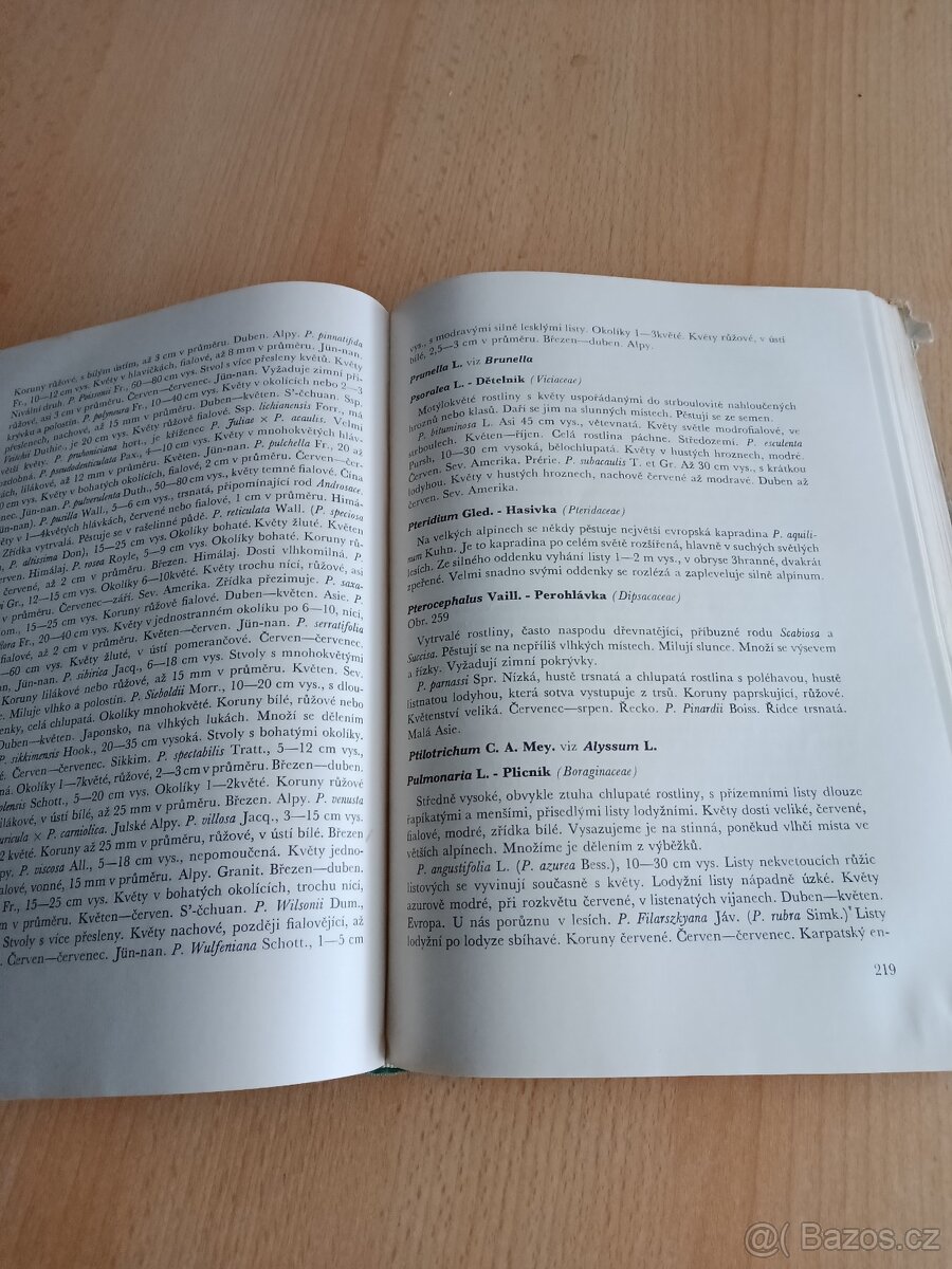 Alpínky,Růže,Atlas hub - 2