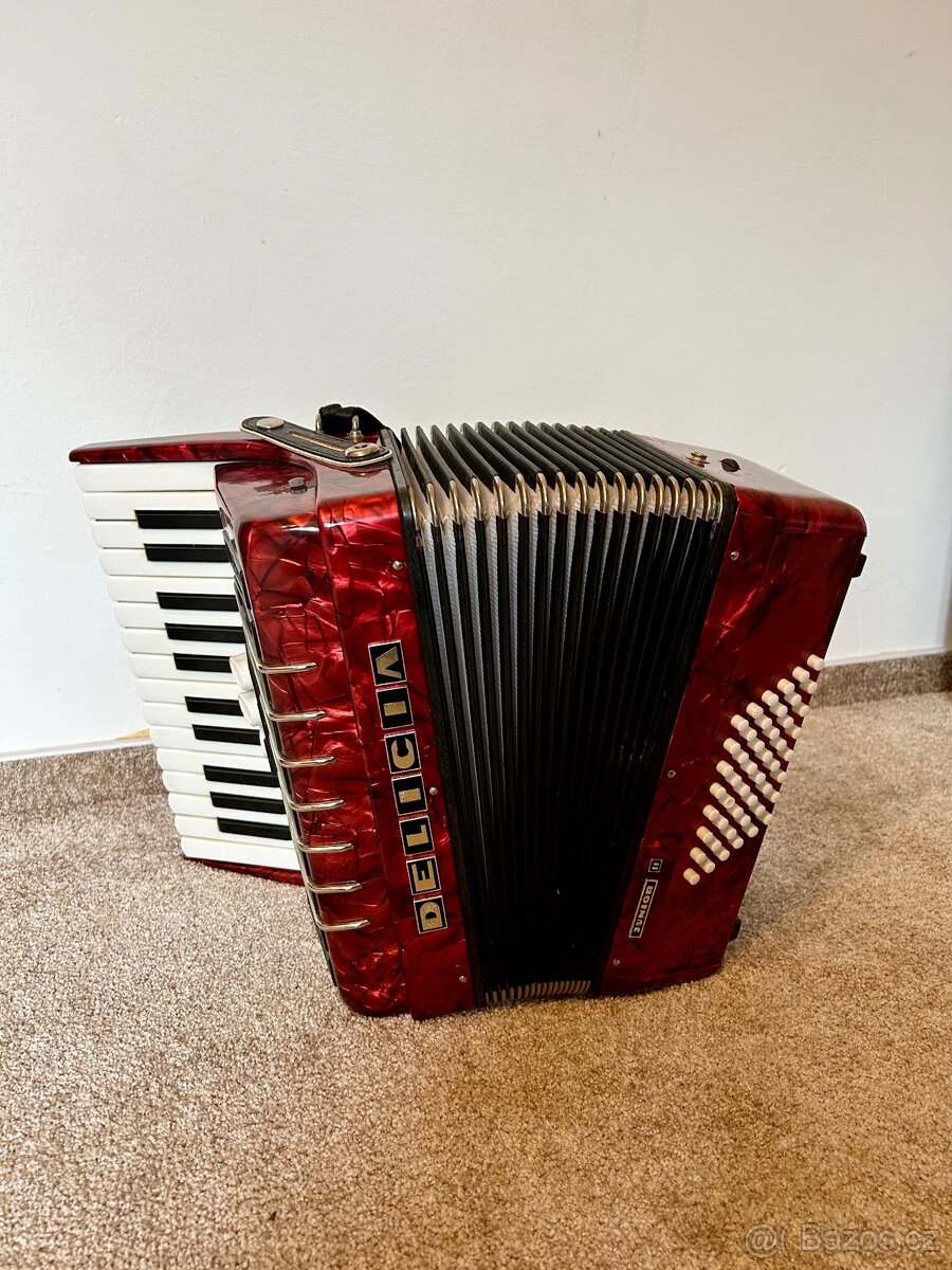 Akordeon-Delicia Junior II - 2