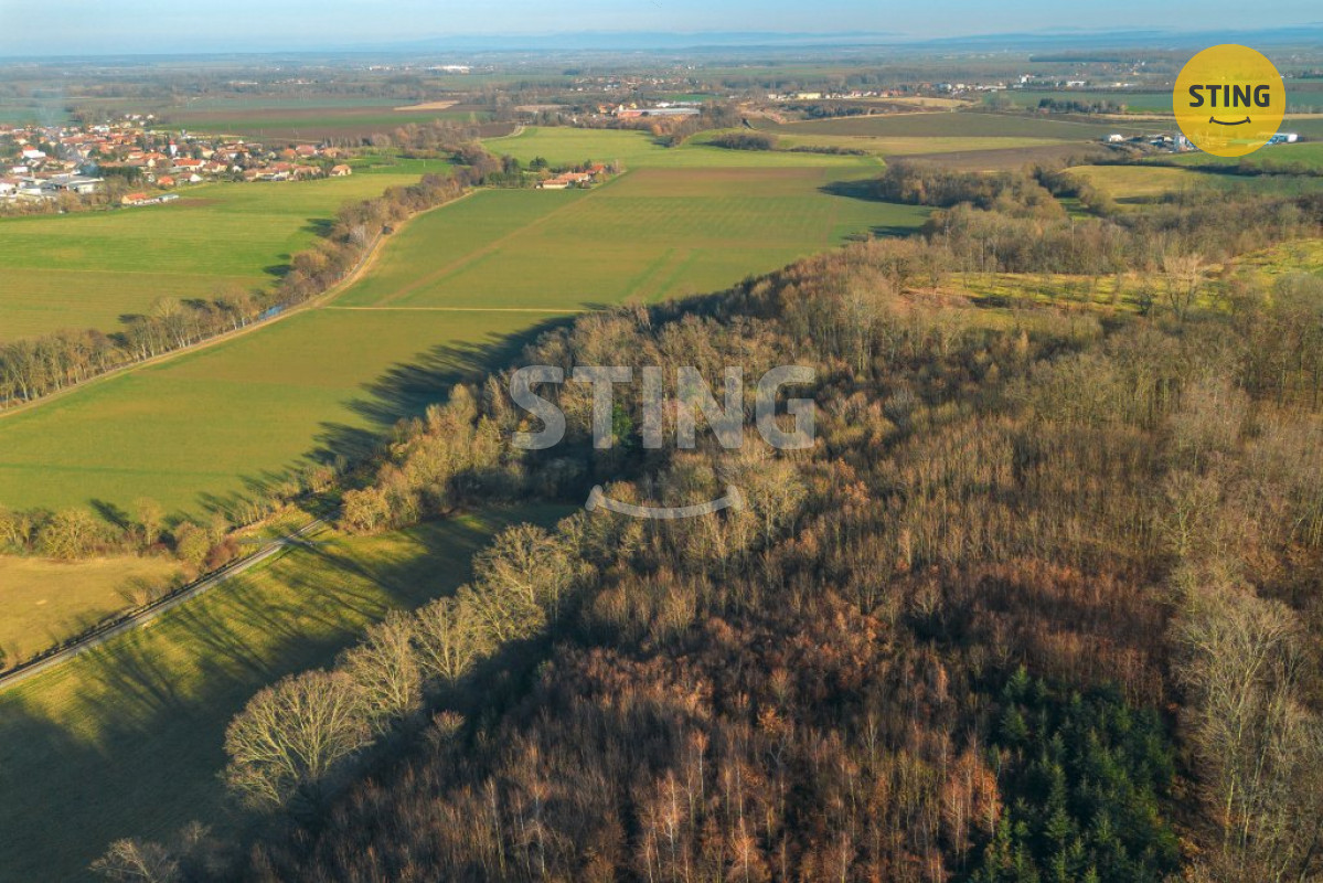 Prodej chaty a pozemku Topol, 134079 - 2