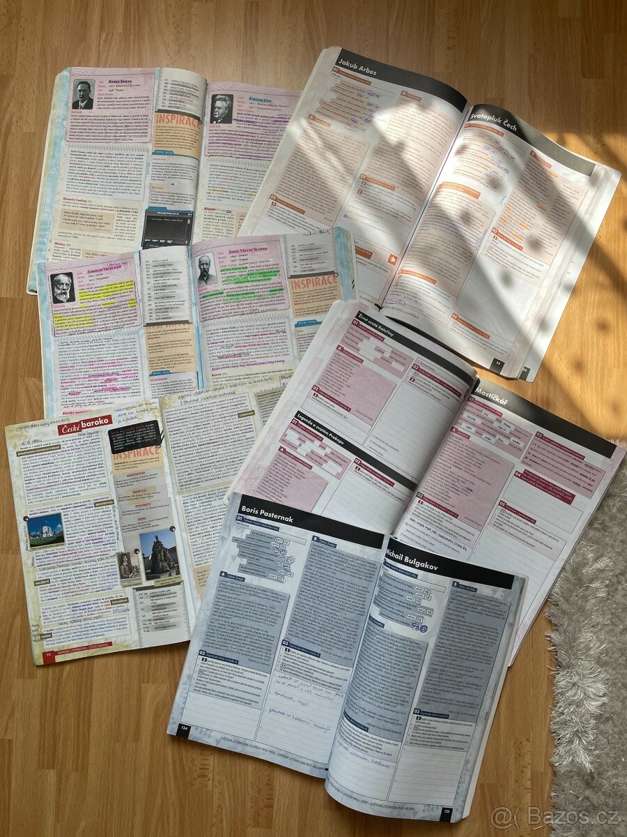 LITERATURA PRO SŠ - 2