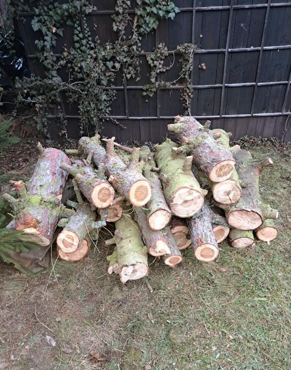 Palivové dřevo - 2