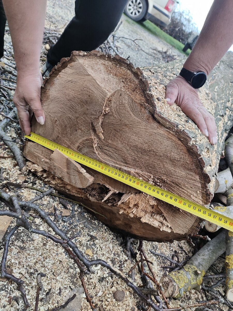 Prodám palivové dřevo Ořech - 2