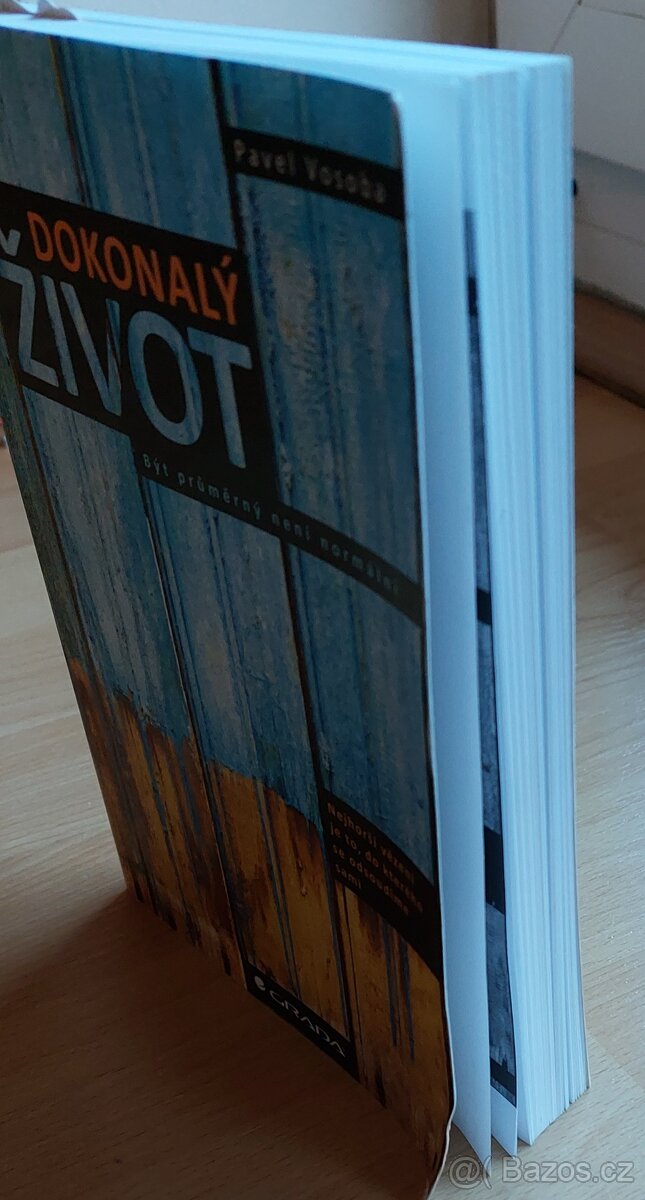 Kniha - Dokonalý život - Pavel Vosoba - 2