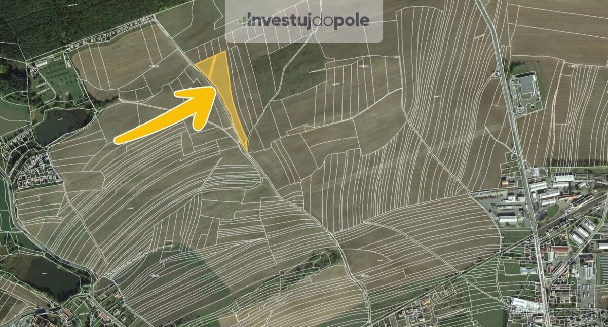 Prodej podílu 1/3 pole 5 637 m², Kralovice - 2