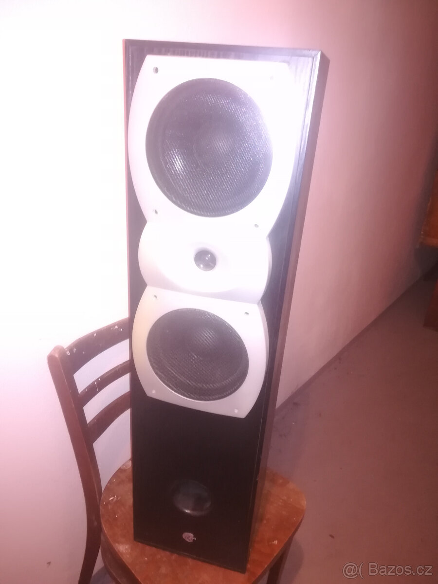 Reprobedny 2x CAT MBC 300, AQ Labrador 165, SONY SW - 2