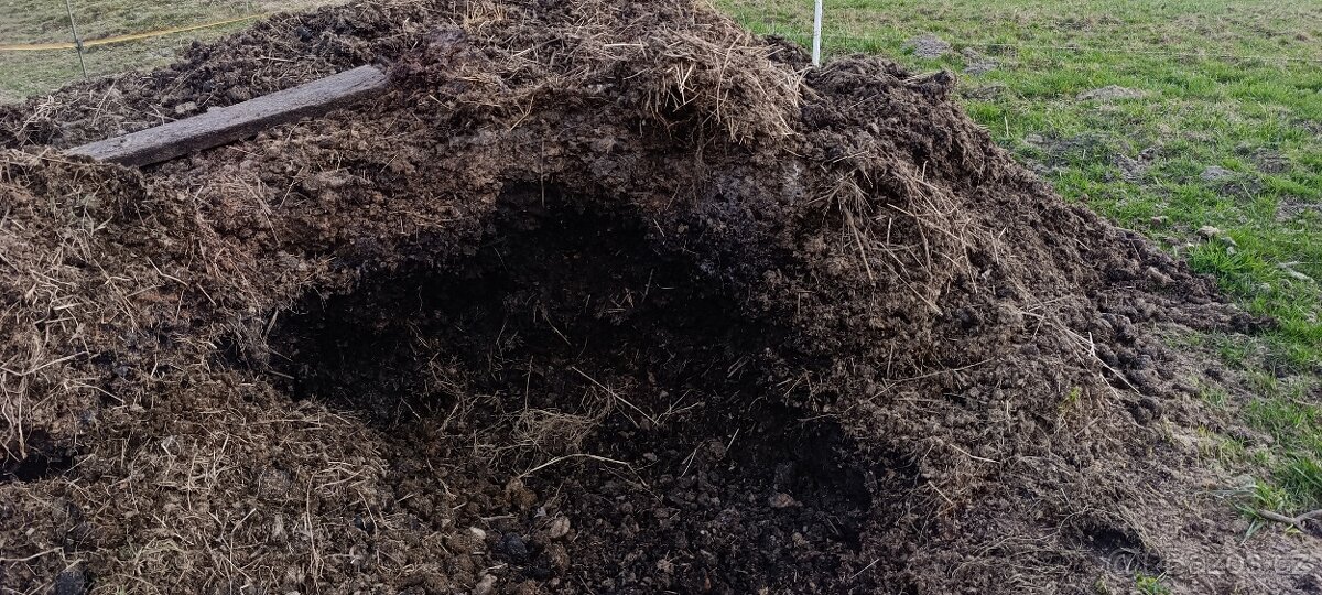 Koňský hnůj bez příměsí - 2