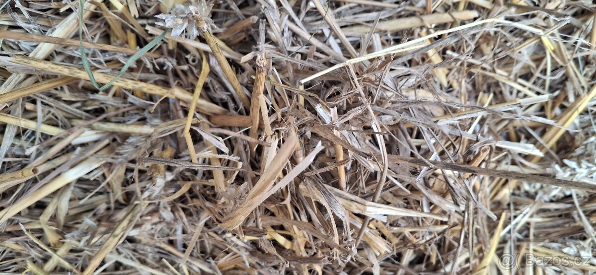 Sláma- malé balíky - 2