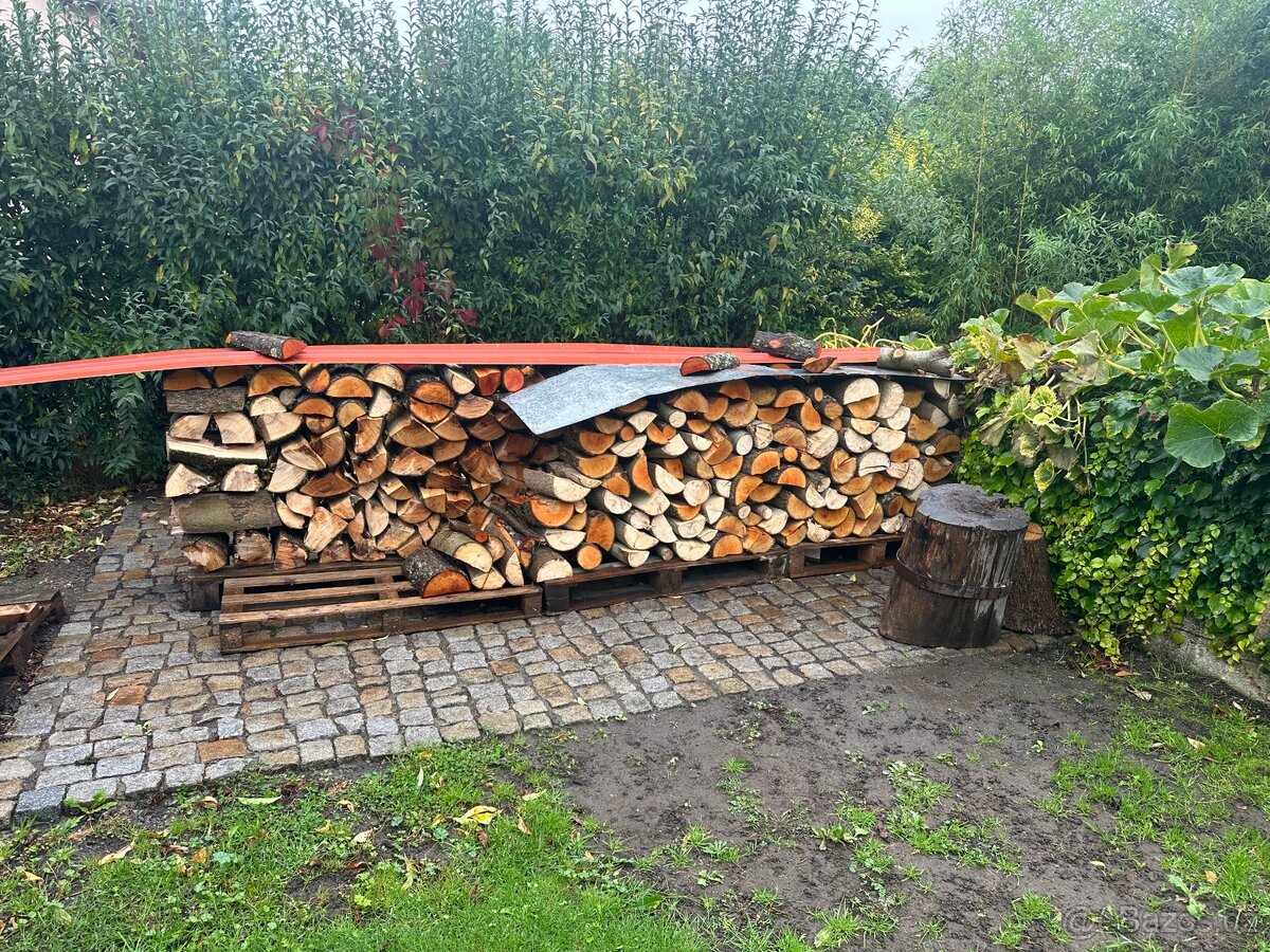 Palivové dřevo-Tvrdé - 2