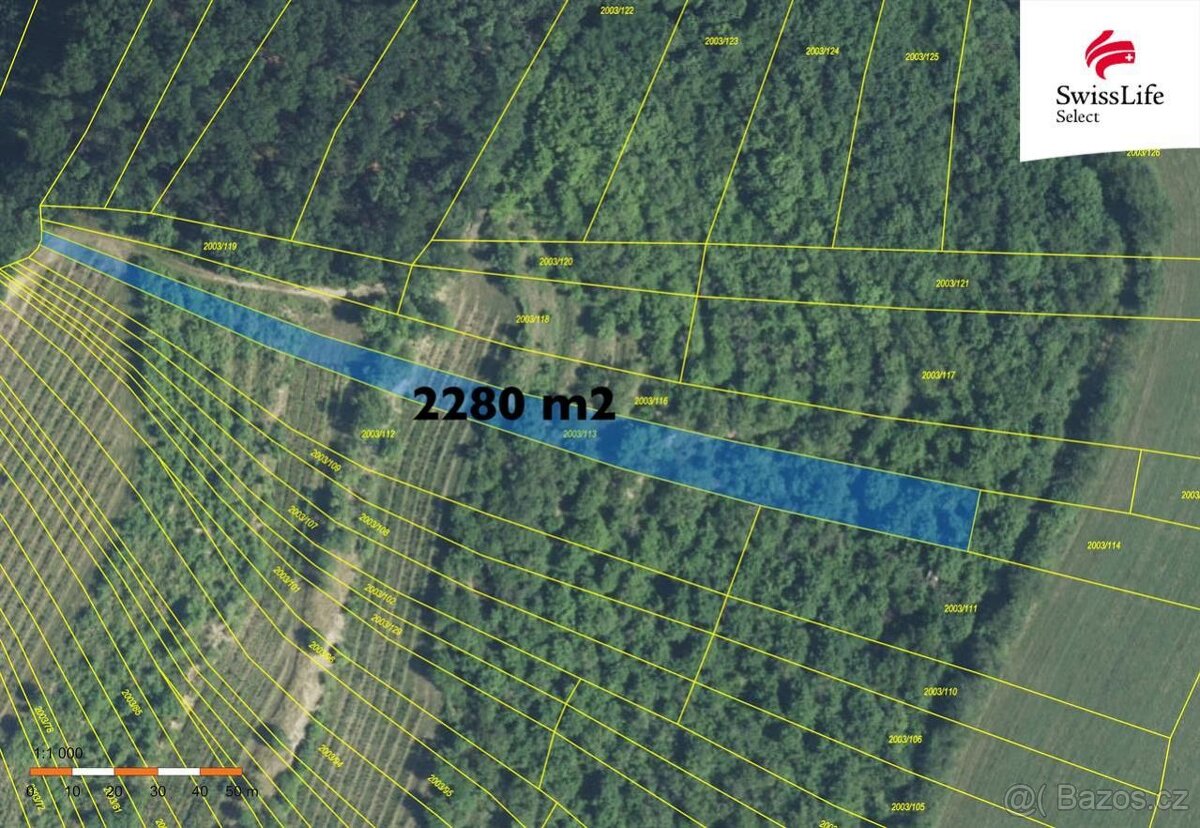 Prodej sadu, vinice 3394 m2 Brumovice - 2