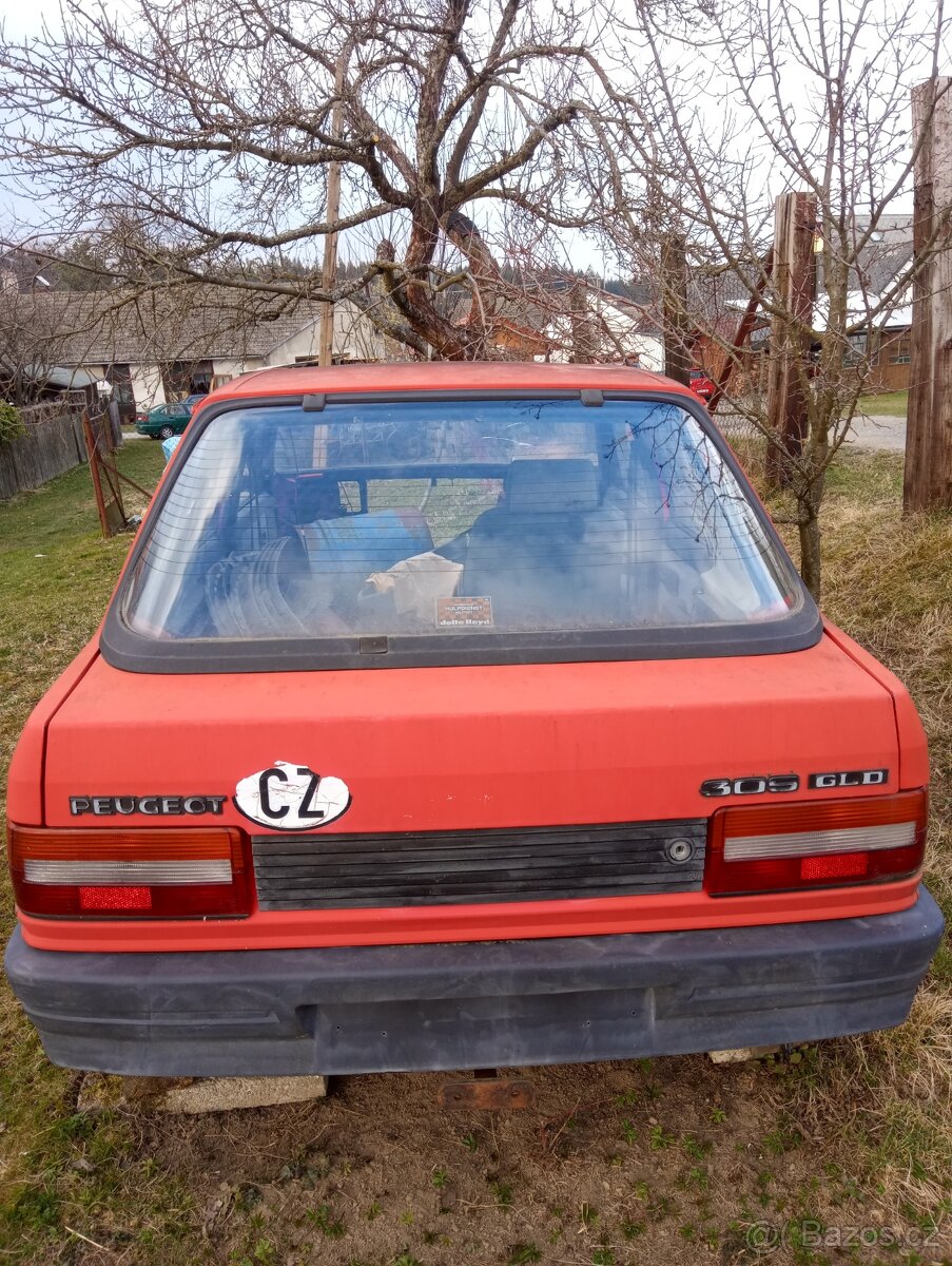 Dily Peugeot 309 - 2